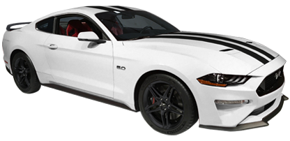 Racing Stripes